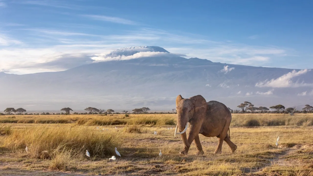 Kilimanjaro foothills