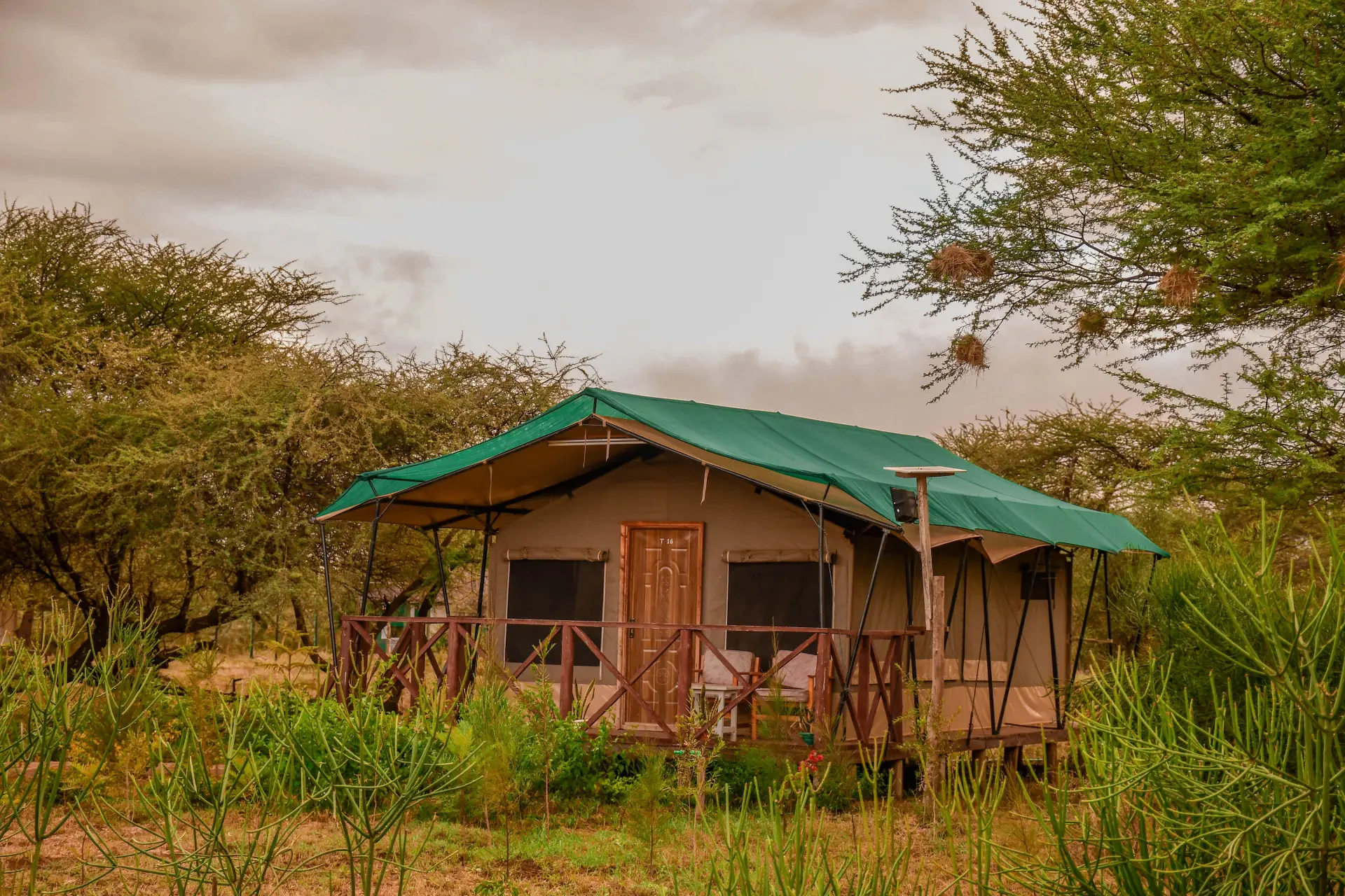 Sungura Safari Camp