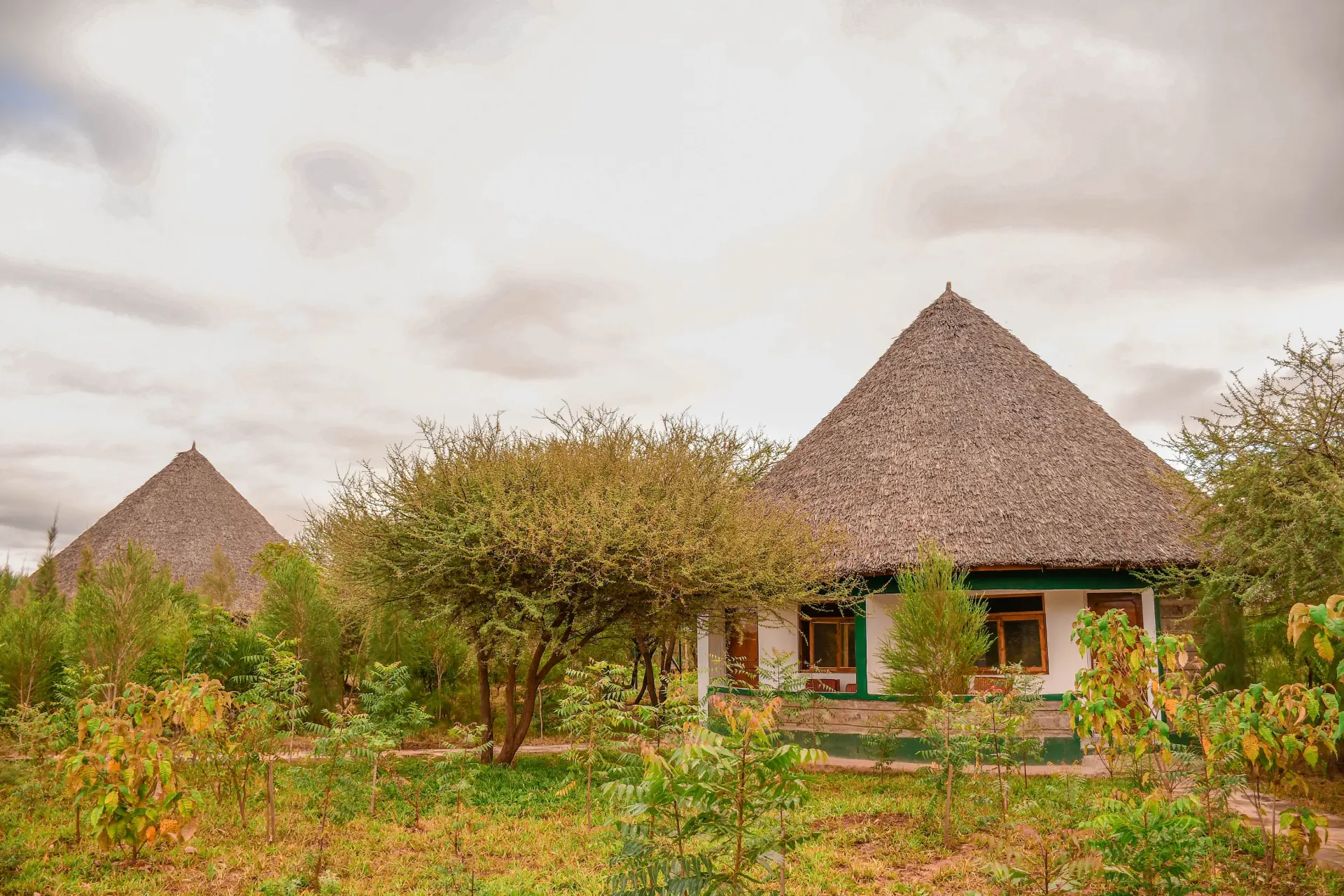 Sungura Safari Camp
