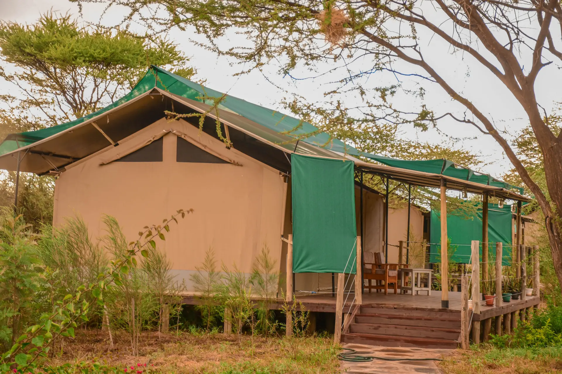 Sungura Safari Camp