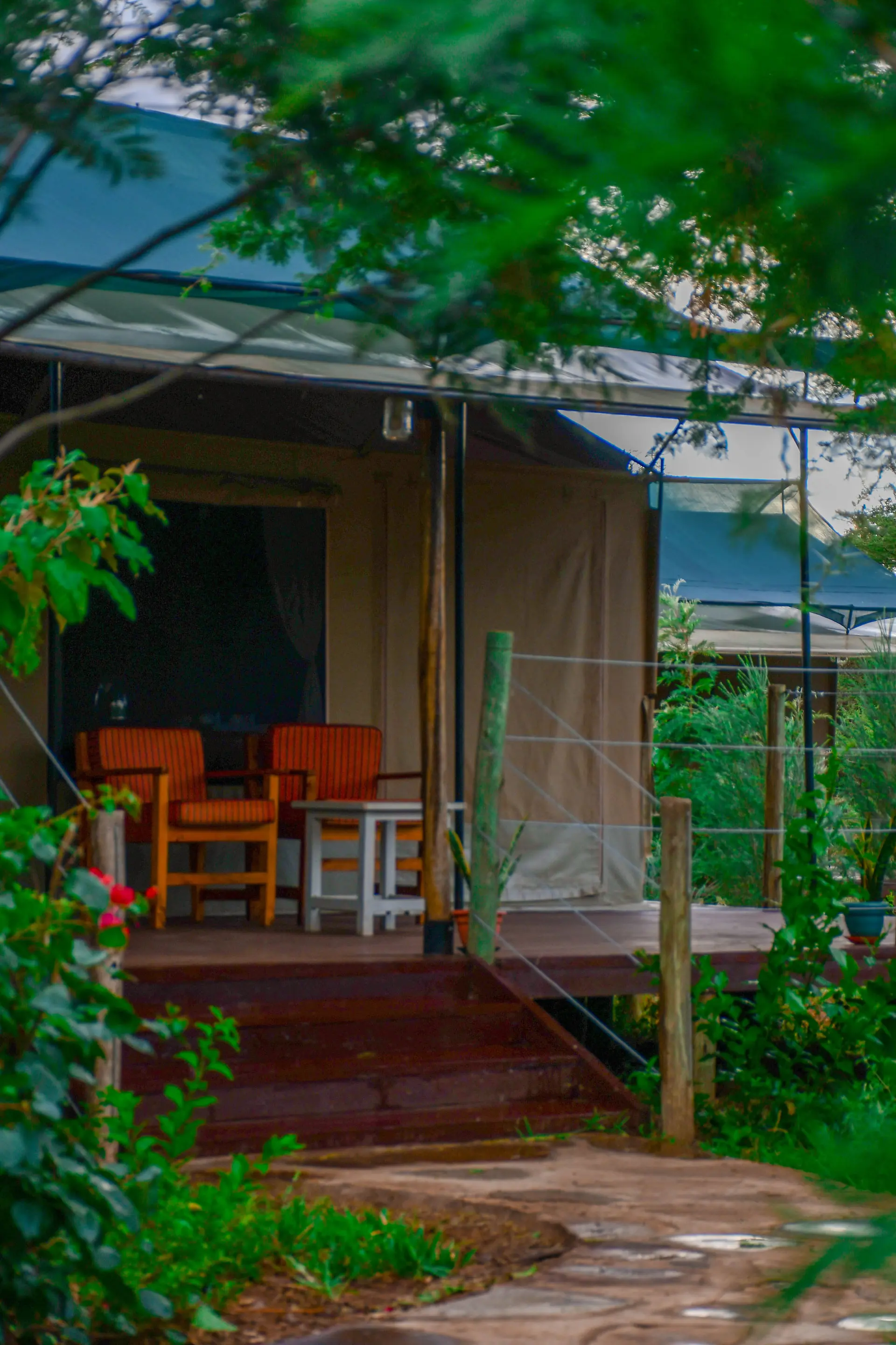 Sungura Safari Camp