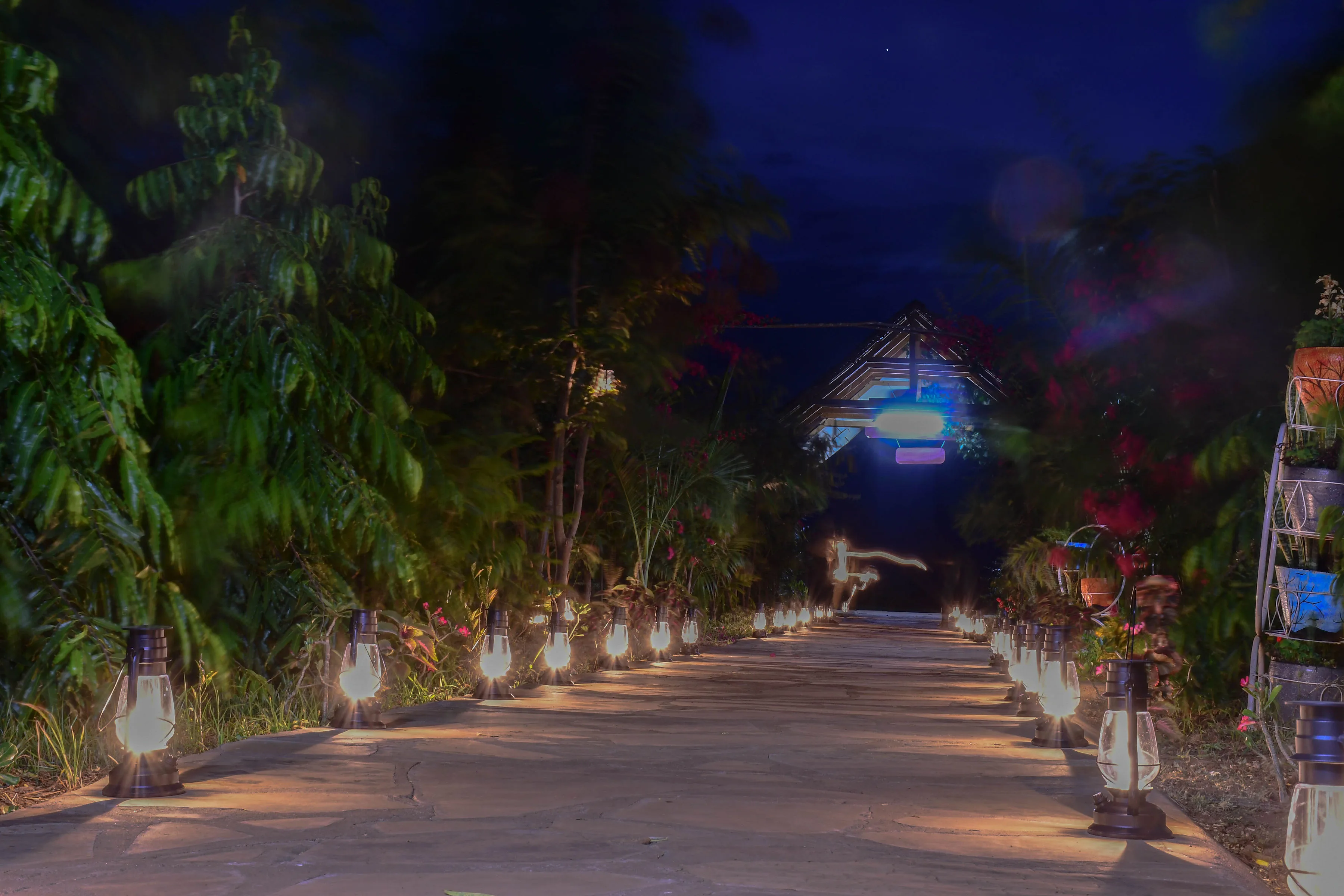 Camp pathway night
