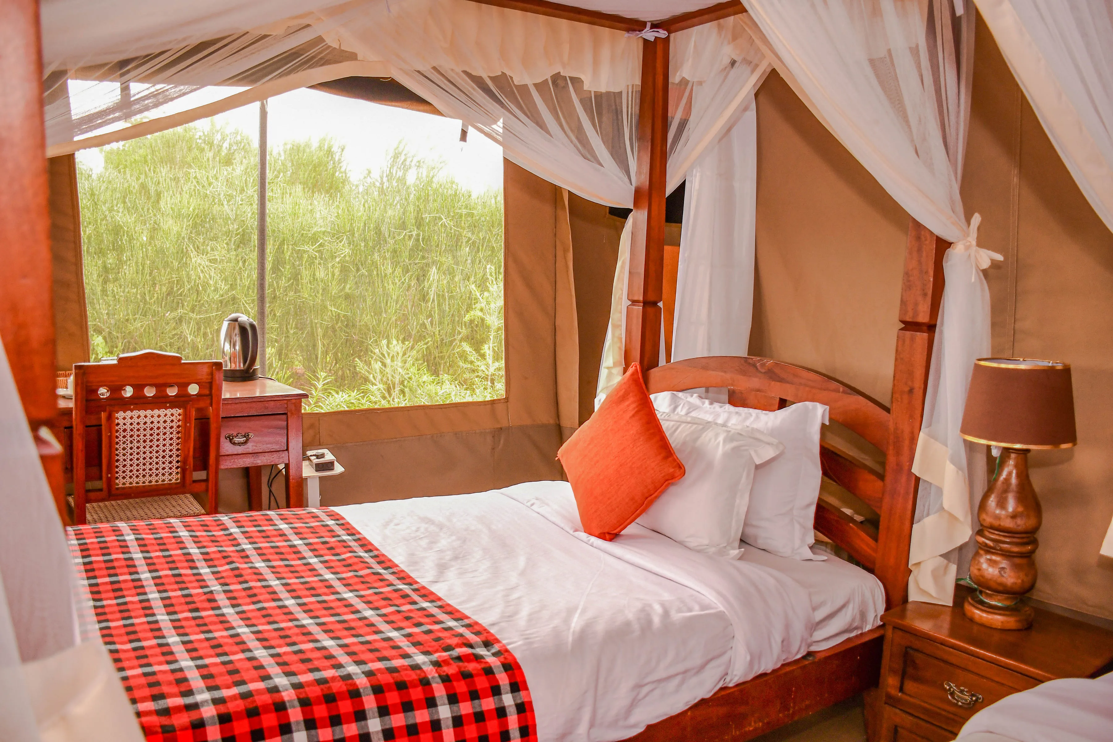 Single Tent